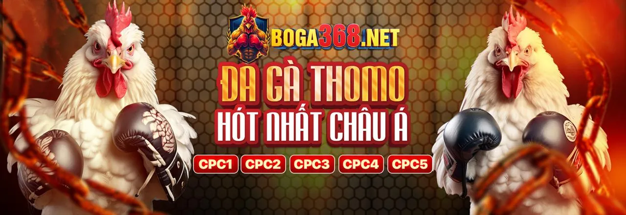 Đá Gà Trực Tuyến anhem888 chính thức