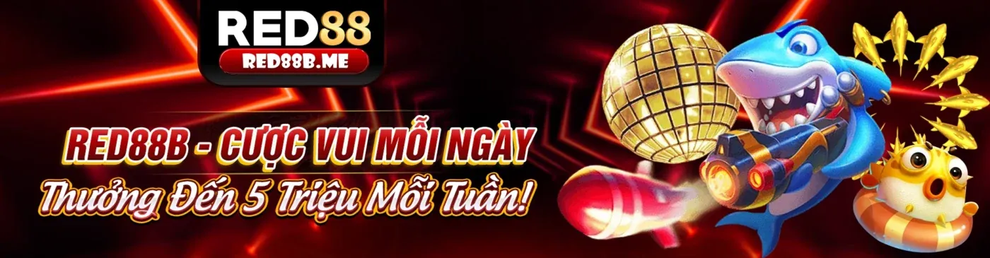 Chính sách Cookie anhem888 chính thức